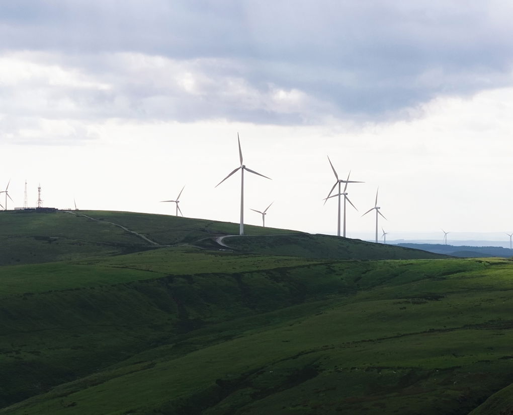 image of a series of wind turbines facing the camera